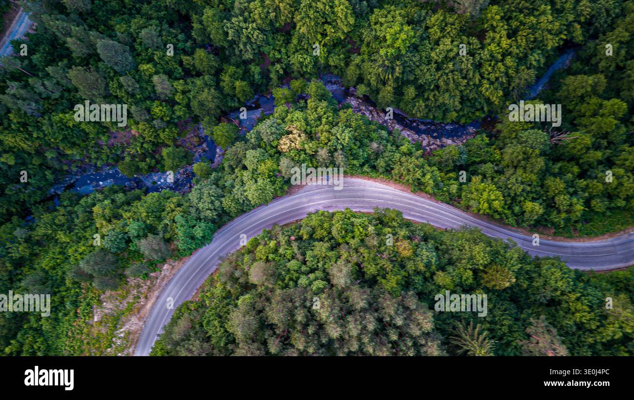 "Vista dall'alto verso il basso di una strada tortuosa che segue un fiume curvilineo attraverso una lussureggiante foresta estiva" Foto Stock