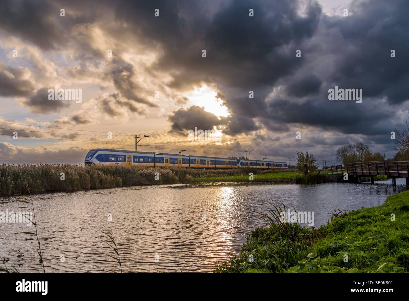 Treno olandese in un paesaggio polder Foto Stock