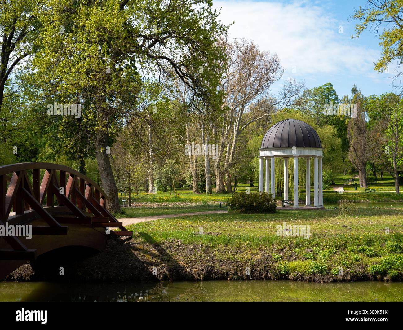 Padiglione neoclassico a forma di rotonda e ponte ad arco in legno in un parco primaverile sul lago Velence, in Ungheria, con lussureggianti alberi verdi e fiori selvatici gialli Foto Stock