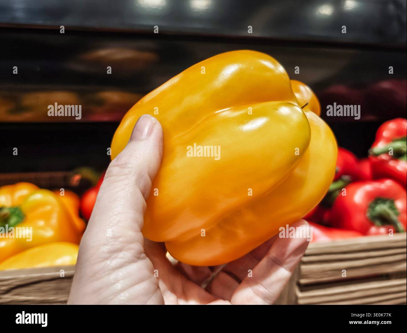 La mano tiene un peperone giallo in un negozio di alimentari. I peperoni freschi sono esposti sullo scaffale. Shopping di prodotti alimentari per tutti i giorni. Foto Stock