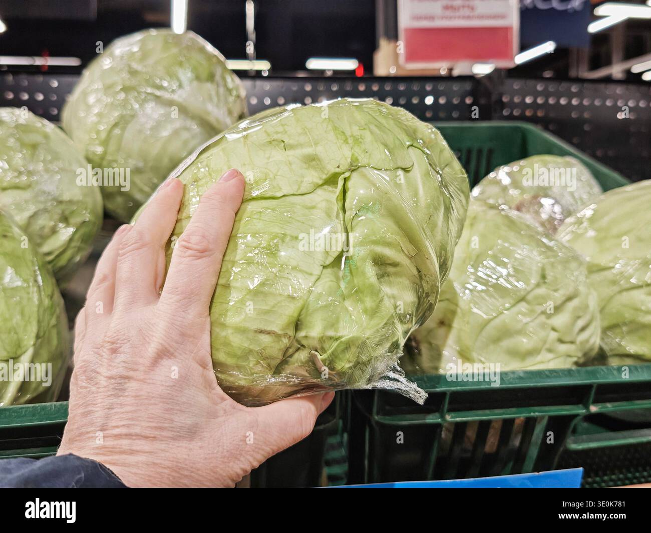 Il cliente sceglie un cavolo avvolto da uno scaffale del supermercato mentre acquista cibo fresco. Foto Stock