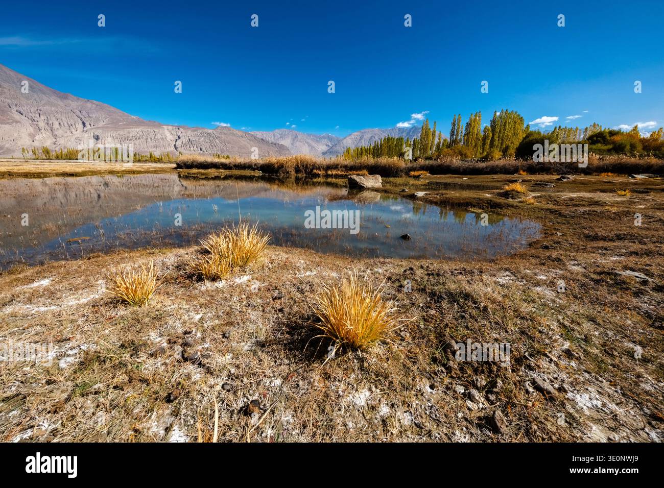 L'acqua ferma riflette una linea di alberi autunnali gialli e il paesaggio montano circostante in un'area paludosa vicino a Diskit. Foto Stock