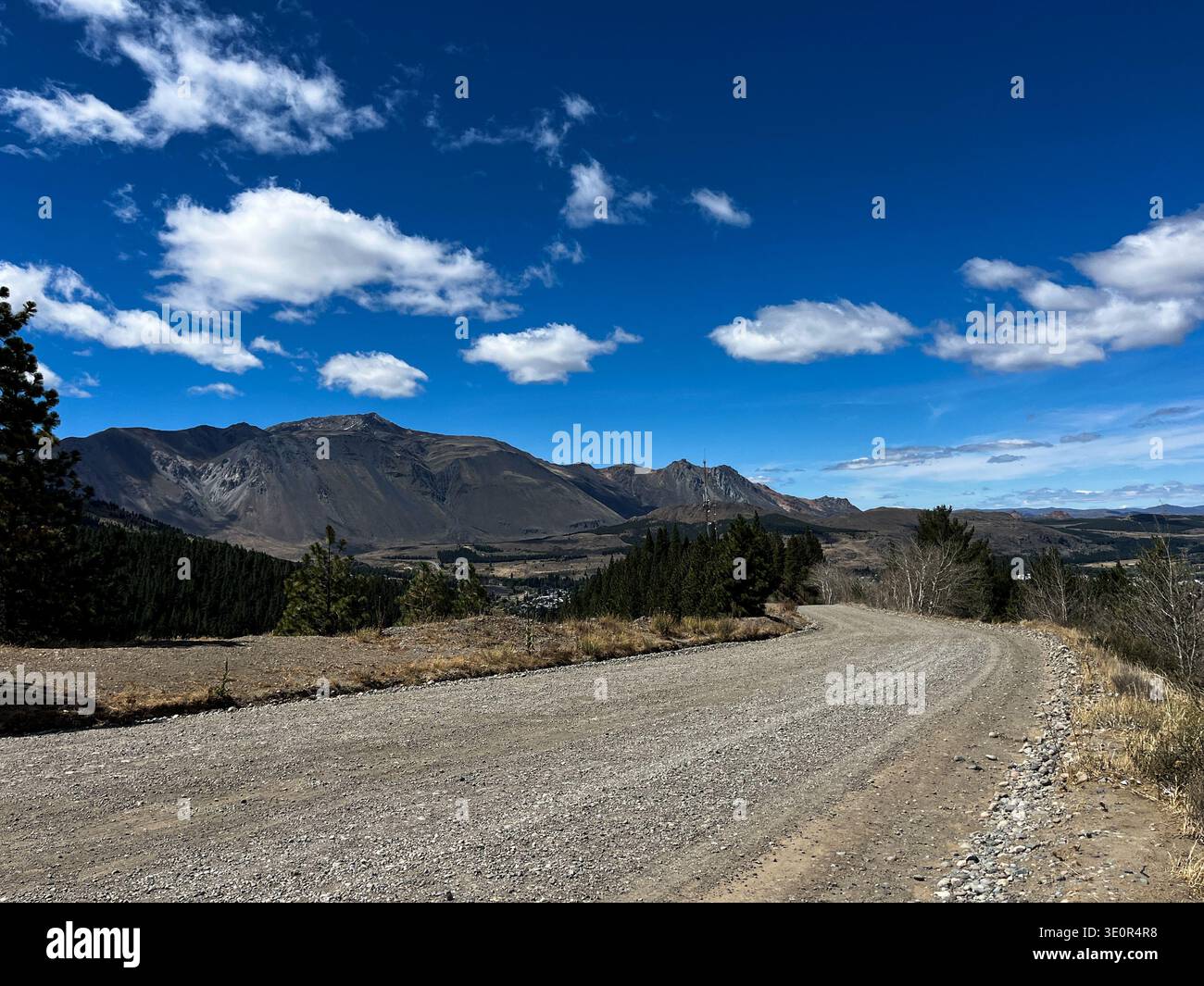 Strada sterrata panoramica che si snoda attraverso un remoto paesaggio montano in Patagonia, circondato da alberi e picchi aspri. Scena di viaggio naturale Foto Stock