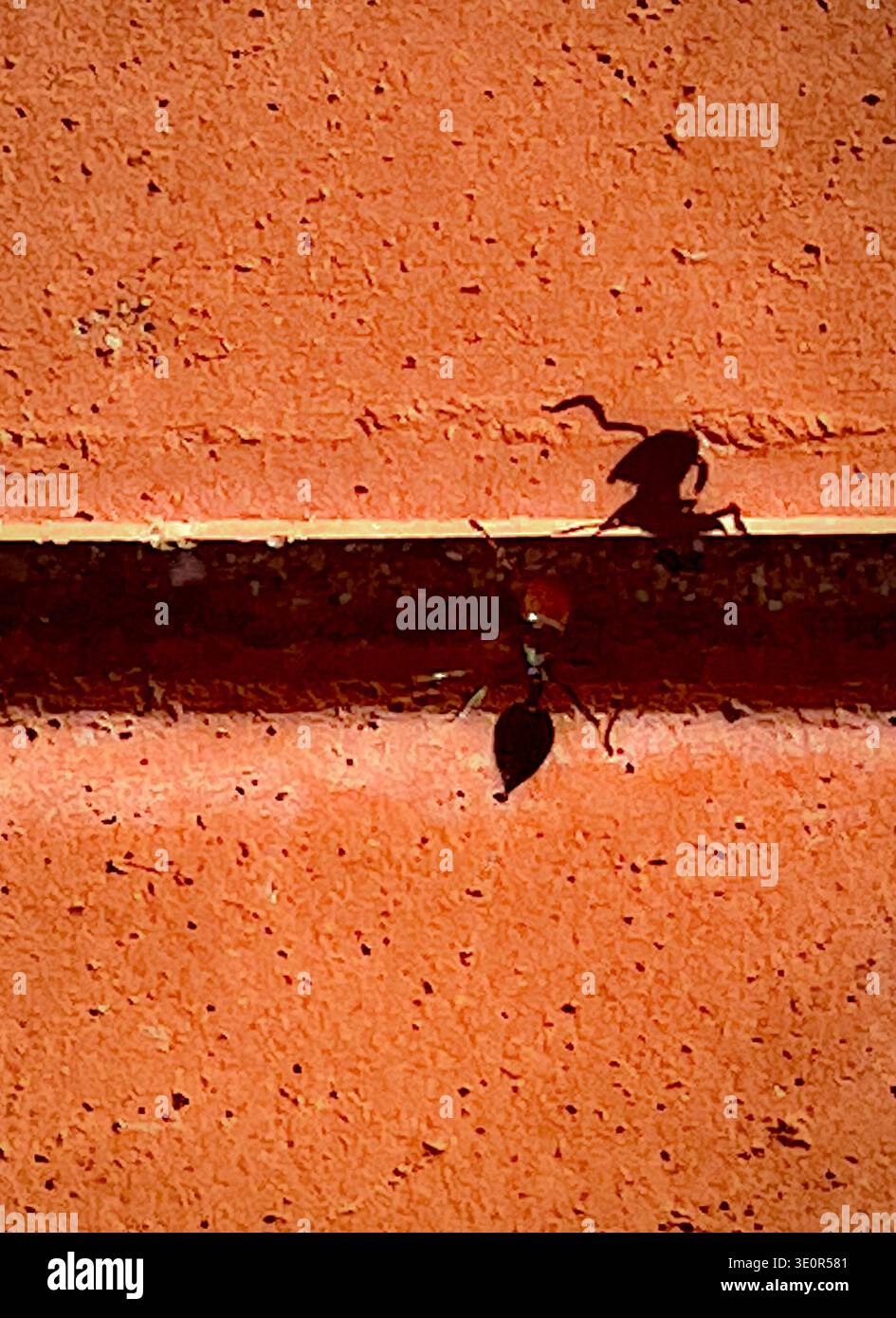 L'effetto antiriflesso sulla parete arancione testurizzata è caratterizzato da una composizione astratta minimalista Foto Stock