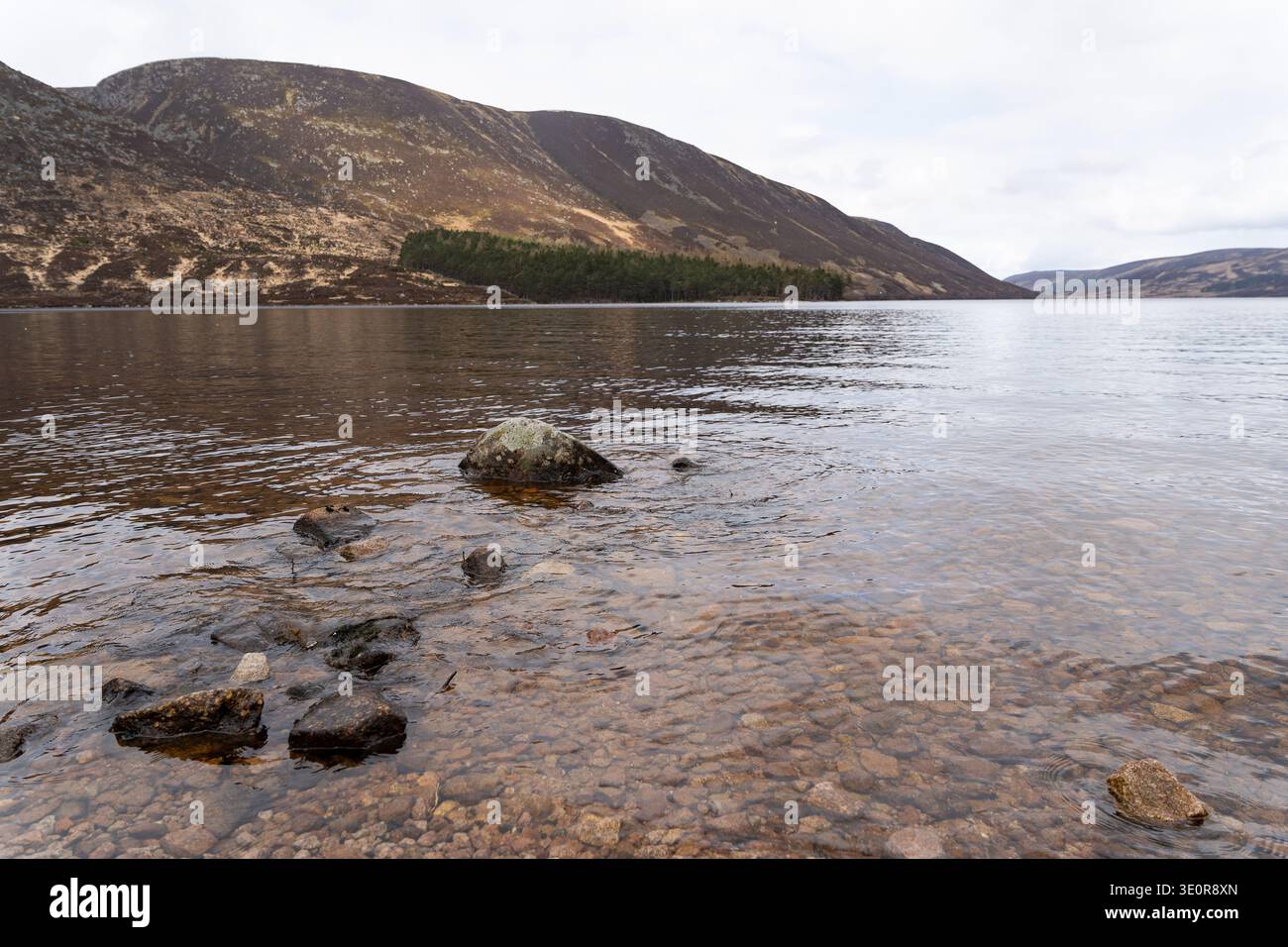 Loch Muick nelle Highlands scozzesi con costa rocciosa, acque calme e colline brughiere oltre sotto un cielo coperto Foto Stock