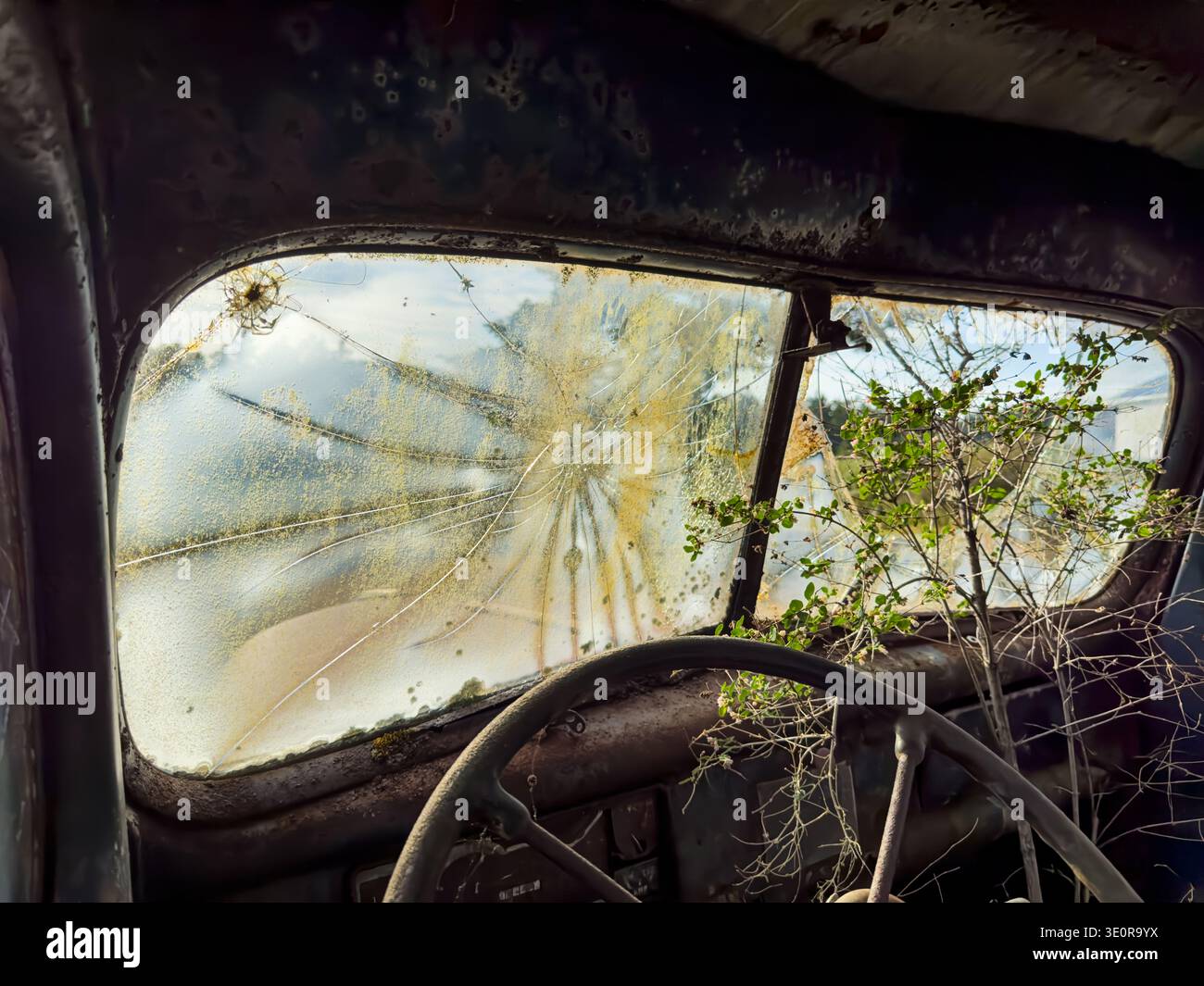Una vista del parabrezza rotto dall'interno di un vecchio camion abbandonato con un cespuglio che cresce attraverso il vetro. Foto Stock