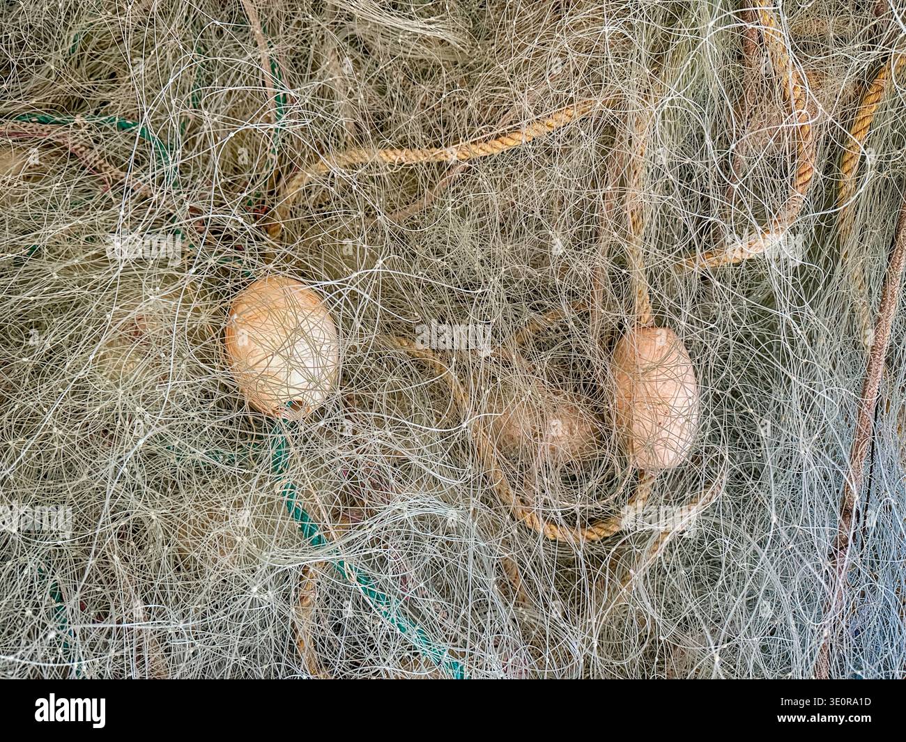 Le reti da pesca sono aggrovigliate in un mucchio all'interno del capannone delle reti in un allevamento di ostriche nello stato di Washington. Foto Stock