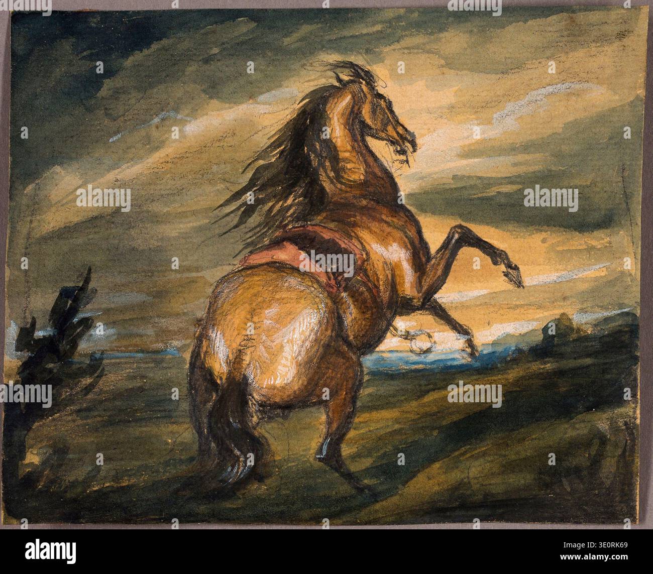 Edwin Henry Landseer - Rearing Horse, Inghilterra, 1817. Acquerello accentuato con gouache bianche e grafite, su carta posata abbronzante. Foto Stock