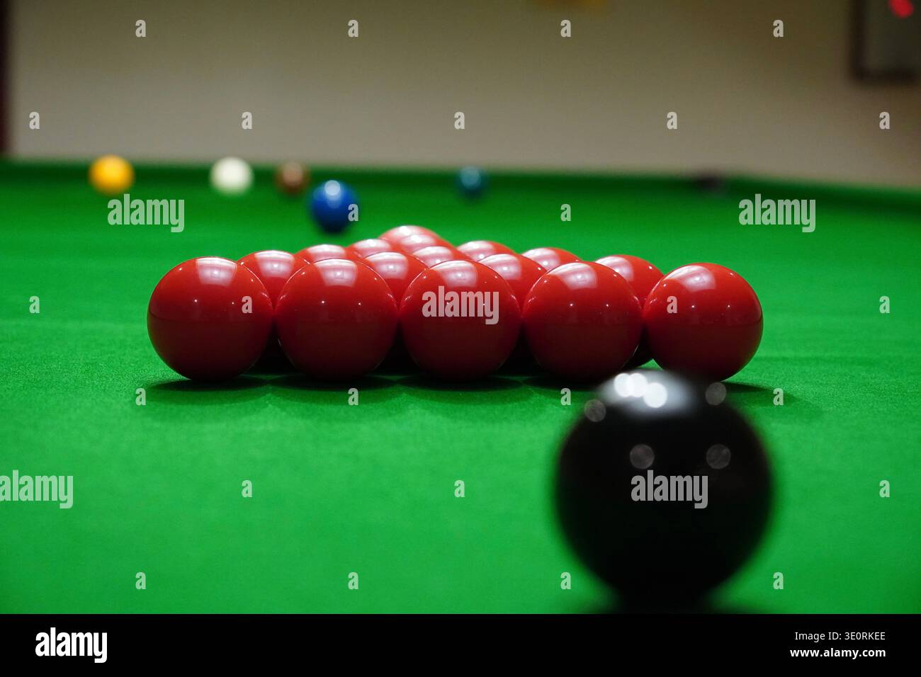 La vista delle palle da snooker dal retro del tavolo si concentra sui rossi con il nero sfocato in primo piano Foto Stock