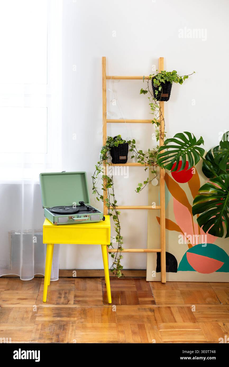 Interni dal design moderno ed elegante con piante d'casa, scaffale in legno e lettore di dischi vintage su tavolo giallo. Accogliente arredamento in stile casalingo con mostruosità Foto Stock