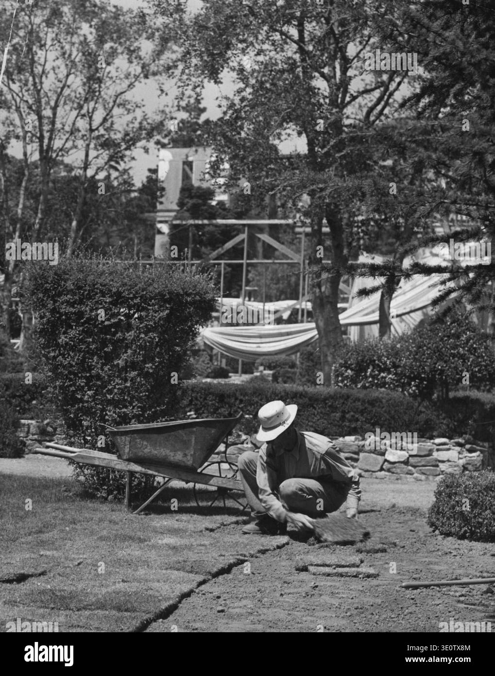 I giardinieri dello studio 20th Century-Fox sono tenuti occupati - molto occupati - prendendosi cura di alberi, arbusti e prati. Qui si vede un giardiniere che fa un bell'fu Foto Stock