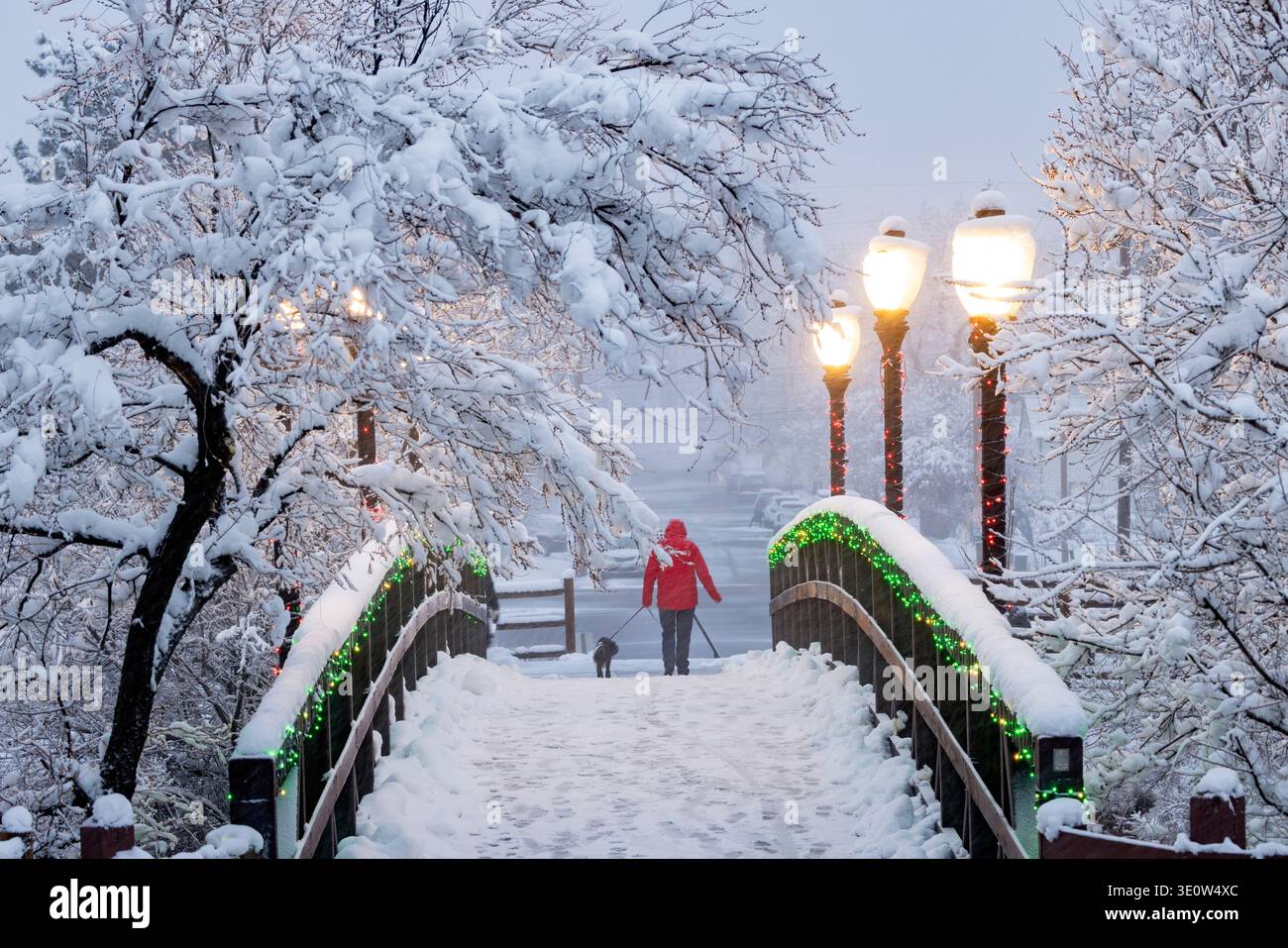 Donna che cammina con il cane sul ponte Billy Drew in inverno - Clear Creek Trail, Golden, Colorado, Stati Uniti Foto Stock