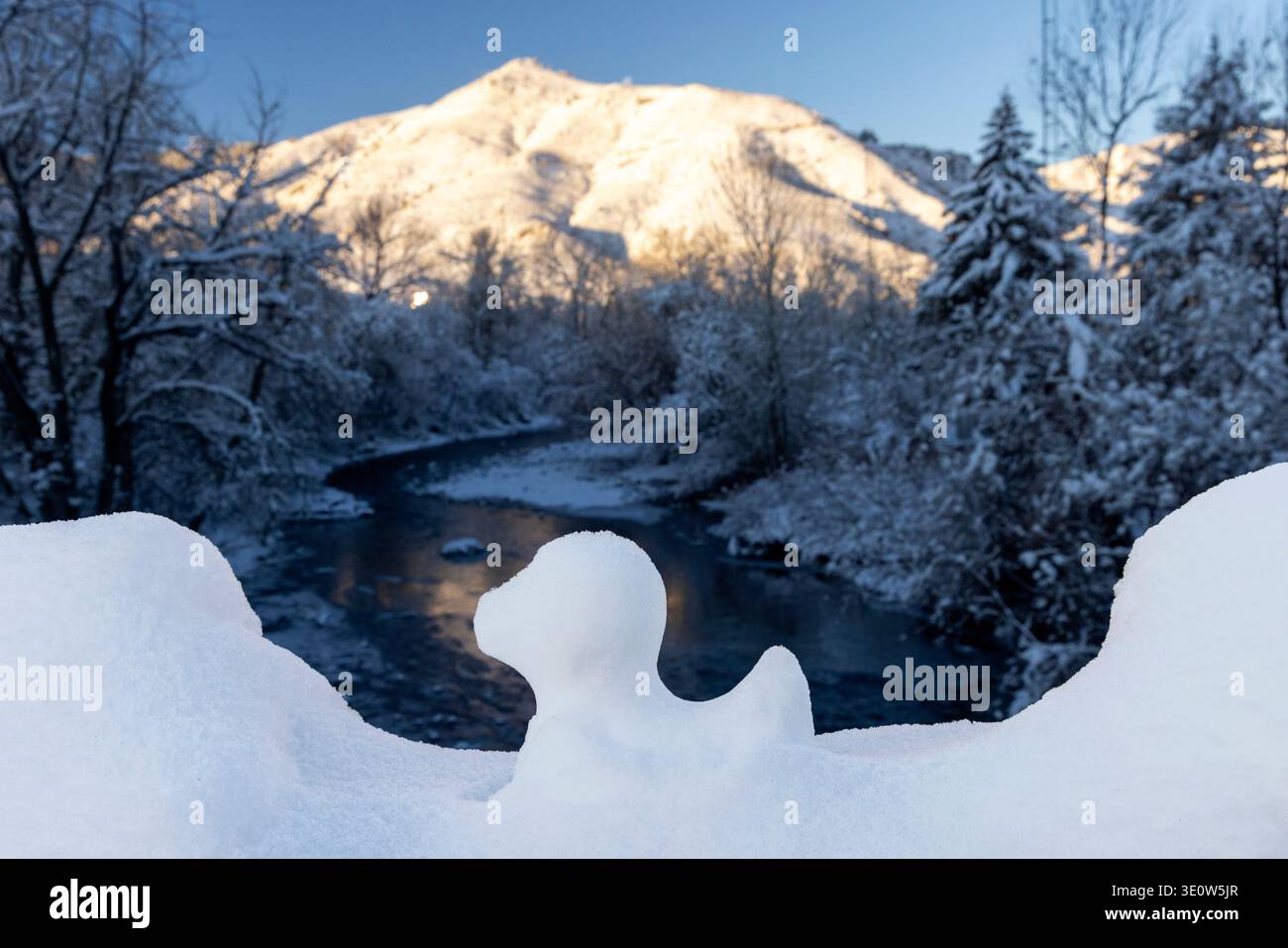 Graziosa anatra fatta di neve con Clear Creek sullo sfondo. Golden, Colorado, Stati Uniti Foto Stock