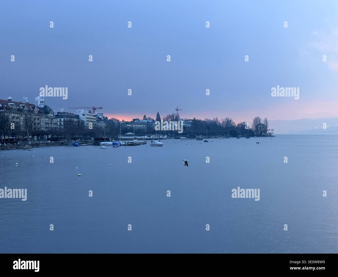 Lago di Zurigo di prima mattina. Alcuni uccelli volano sopra il lago. Foto Stock