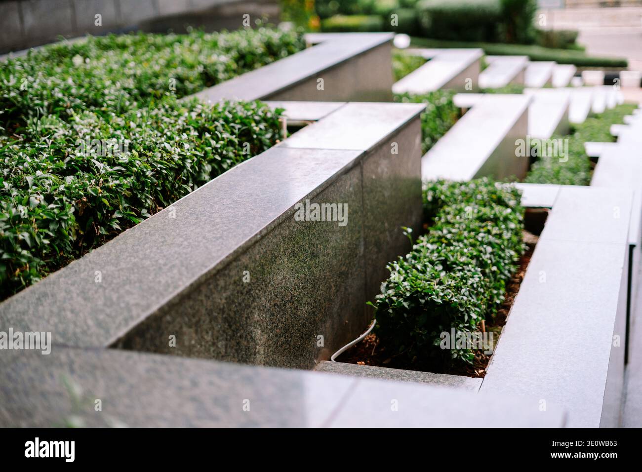 Un moderno giardino urbano caratterizzato da piantagioni di pietra grigia a terrazze piene di vibranti arbusti verdi, che creano un paesaggio strutturato e attraente Foto Stock