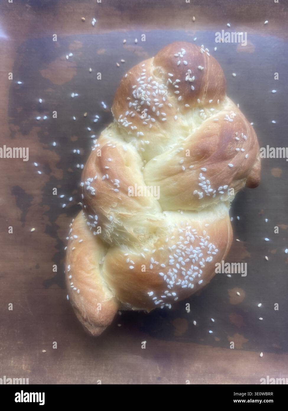 Pane Baby Challah appena sfornato con semi di sesamo su sfondo nero Foto Stock