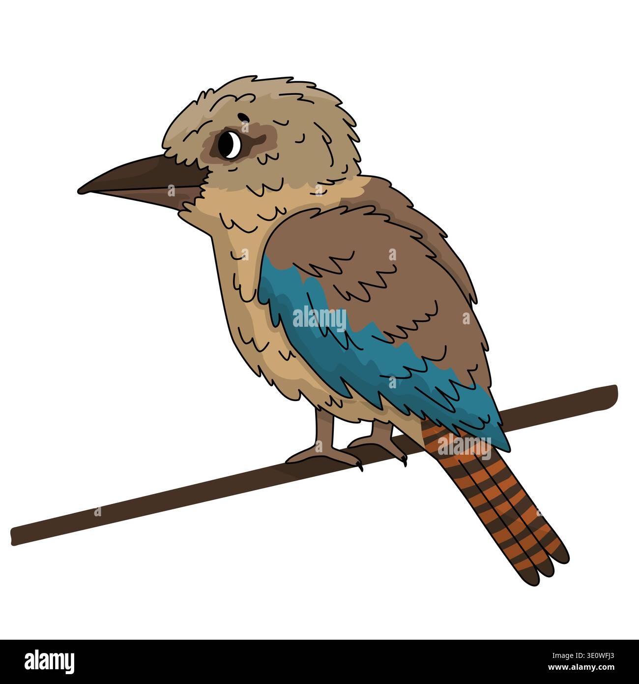 Carino cartone animato di kookaburra arroccato su ramo isolato su sfondo bianco. Illustrazione vettoriale Illustrazione Vettoriale