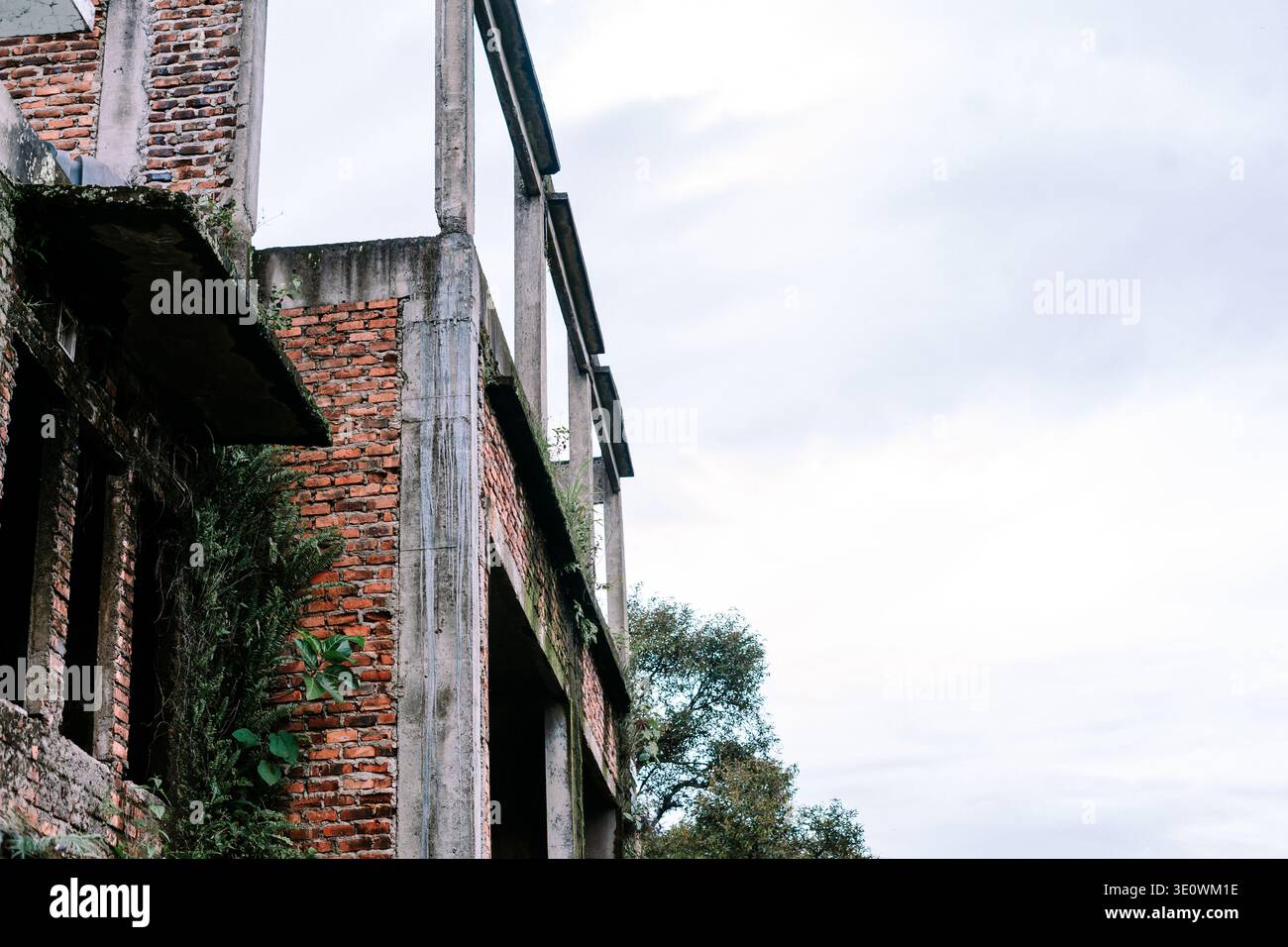 Un vecchio edificio abbandonato con pareti in mattoni rossi e struttura in cemento è visibilmente in declino, ora coperto da lussureggianti piante verdi e viti che raggiungono il towar Foto Stock