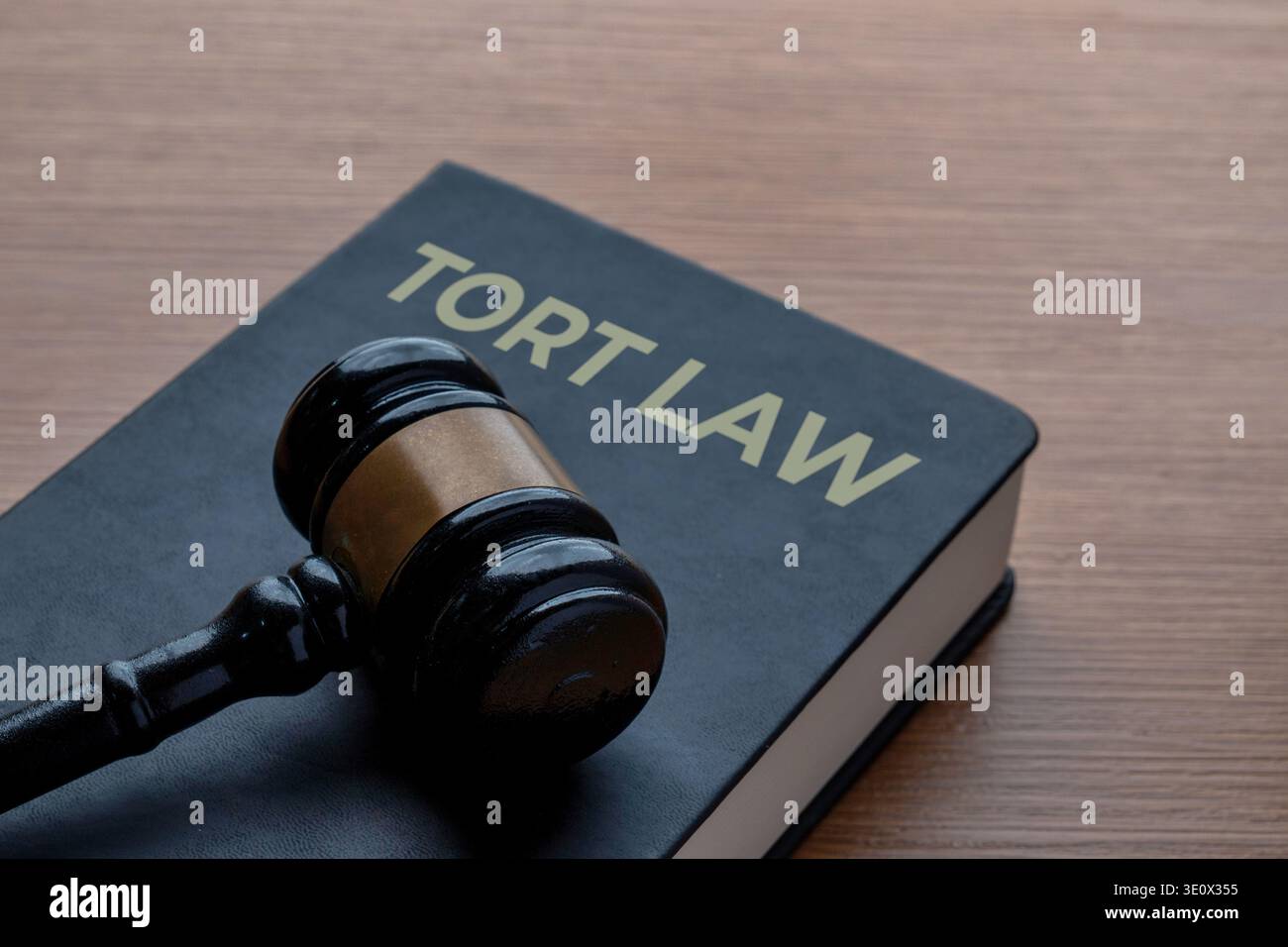 Un martelletto di un giudice accanto ad un libro chiuso intitolato LEGGE TORT su una scrivania di legno. Contenzioso civile, reclami per lesioni personali, responsabilità legale e procedimento giudiziario Foto Stock