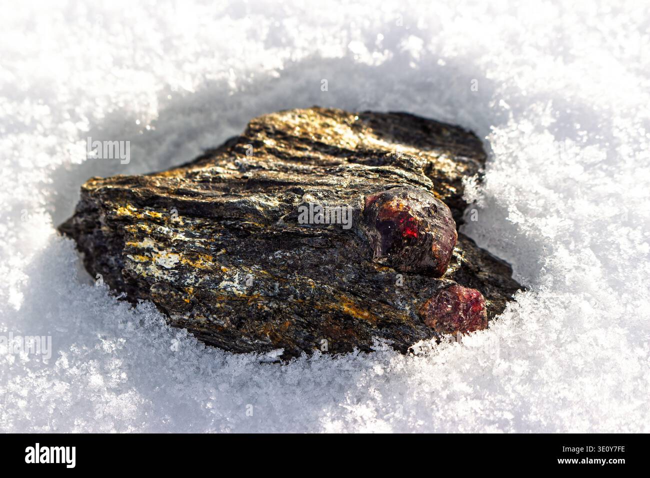 Vivace granato di almandine rosso annidato in uno scisto di mica ruvida, in netto contrasto con l'immacolata neve bianca, un tesoro naturale. Deposito Kitelskoe, Kit Foto Stock