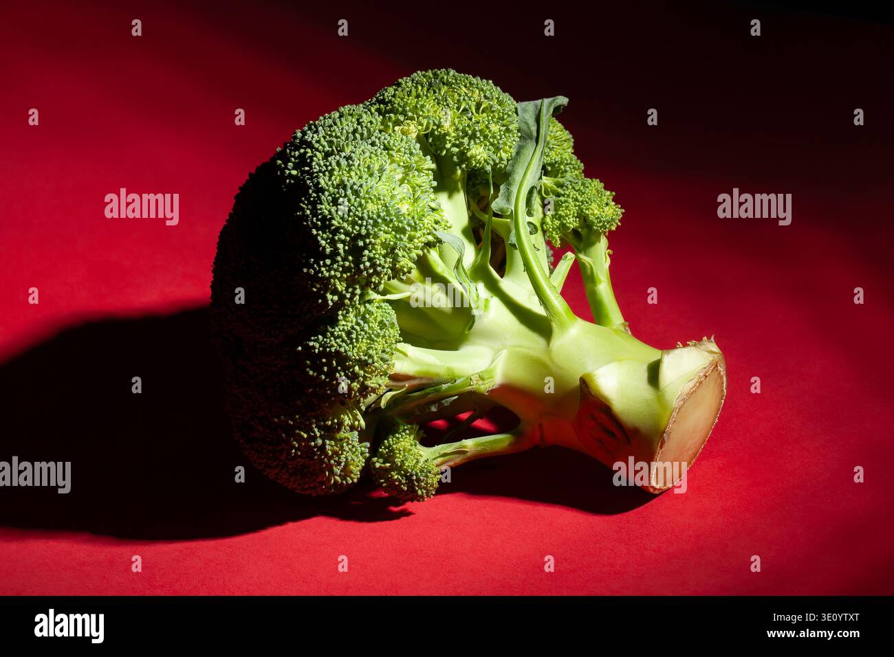 un broccoli su sfondo rosso Foto Stock