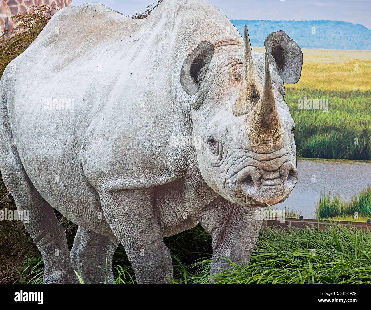 Festival delle Lanterne Asiatiche. Cleveland MetroParks Zoo. Rinoceronte-megaherbivori Cleveland, Ohio USA Foto Stock