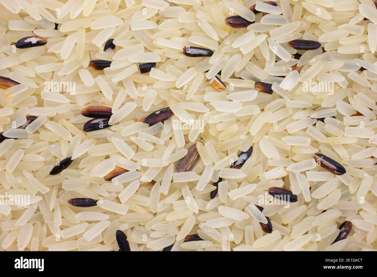 Vista molto ravvicinata degli ingredienti secchi del riso bianco e selvatico. Foto Stock