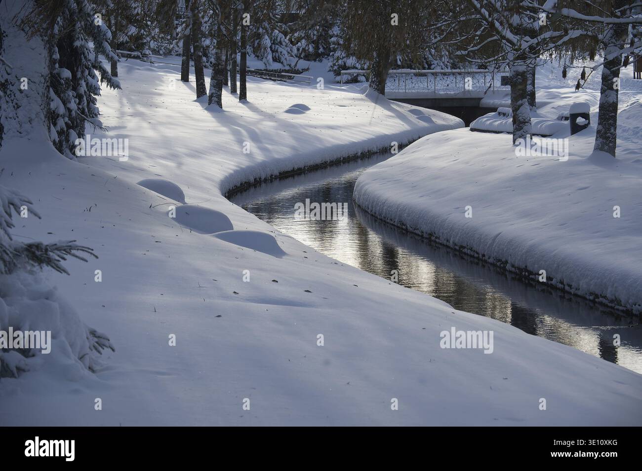 Tranquillo scenario invernale con un piccolo e tranquillo torrente che attraversa un parco innevato con le sponde piene di gelo e gli alberi che lo circondano, gli alberi e il Foto Stock