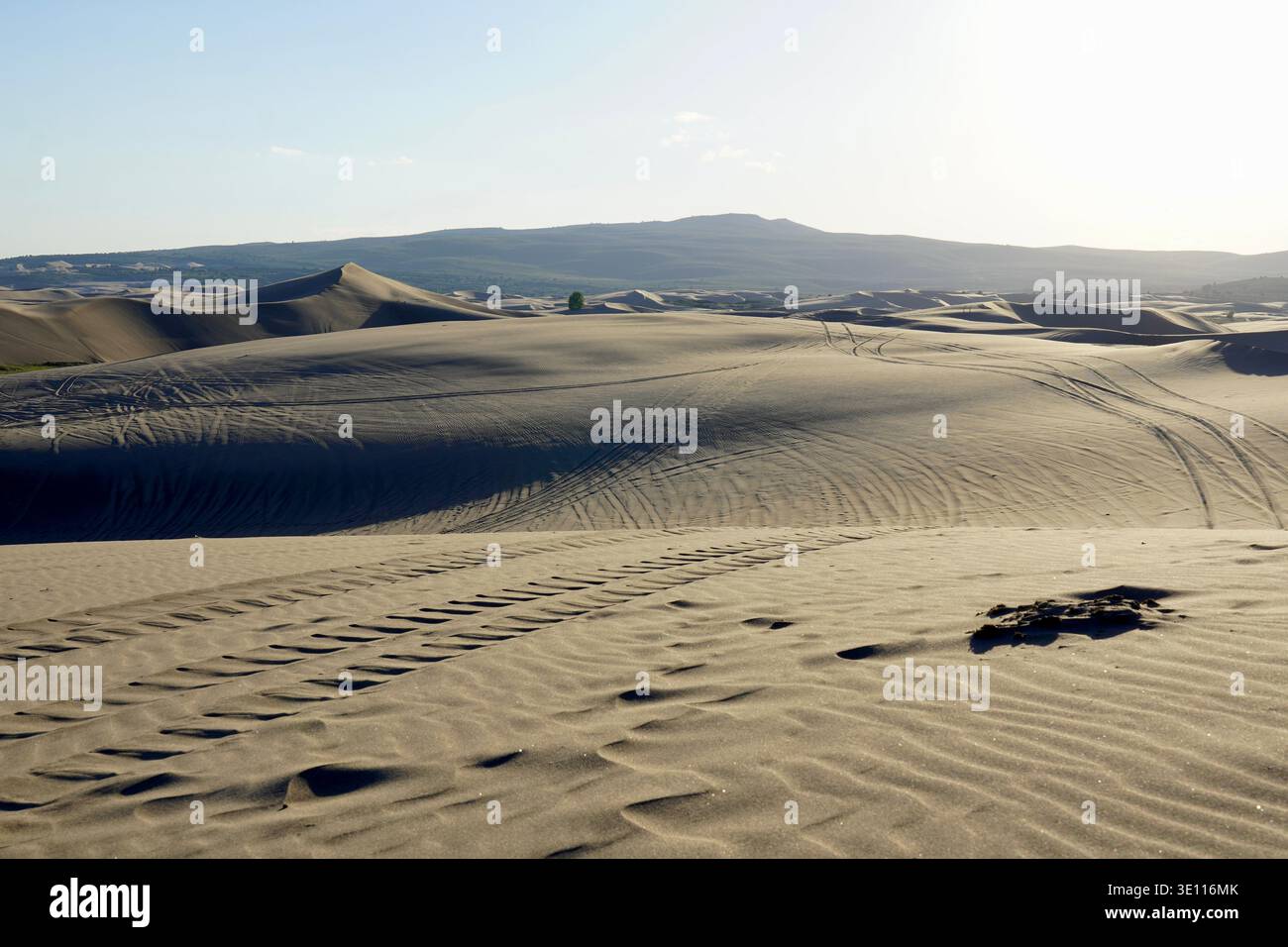 Dune di sabbia di Sant'Antonio in Idaho con tracce di pneumatici che attraversano. Ombre gettate sulla sabbia con increspature di sabbia causate dal vento Foto Stock