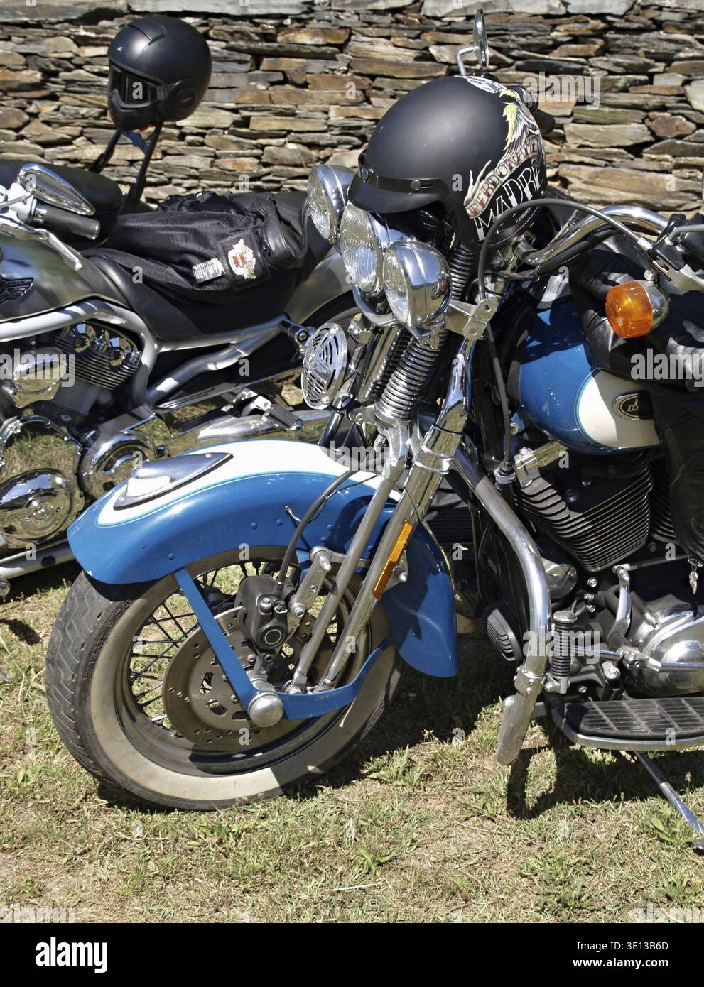 Elegante motocicletta indiana personalizzata parcheggiata sull'erba, con dettagli cromati e verniciatura unica Foto Stock