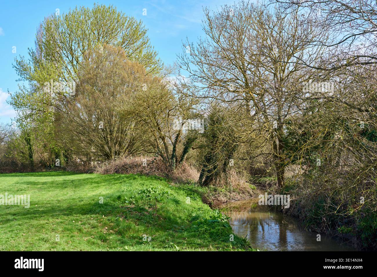 Il fiume Pinn, Ruislip, Greater London, UK, in primavera Foto Stock