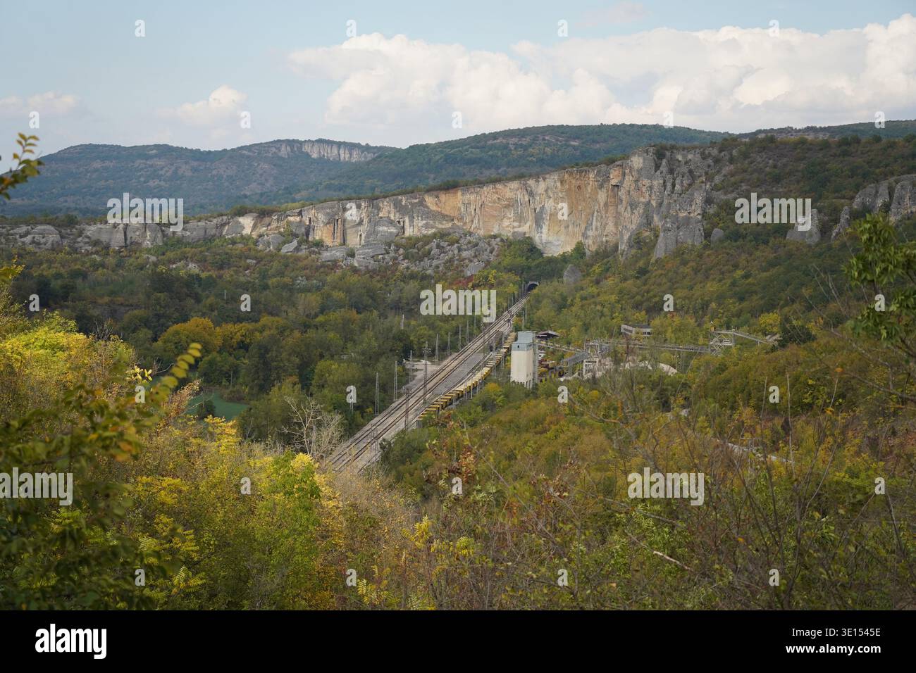 Treno sulla Curved Railway attraverso Forest Foto Stock