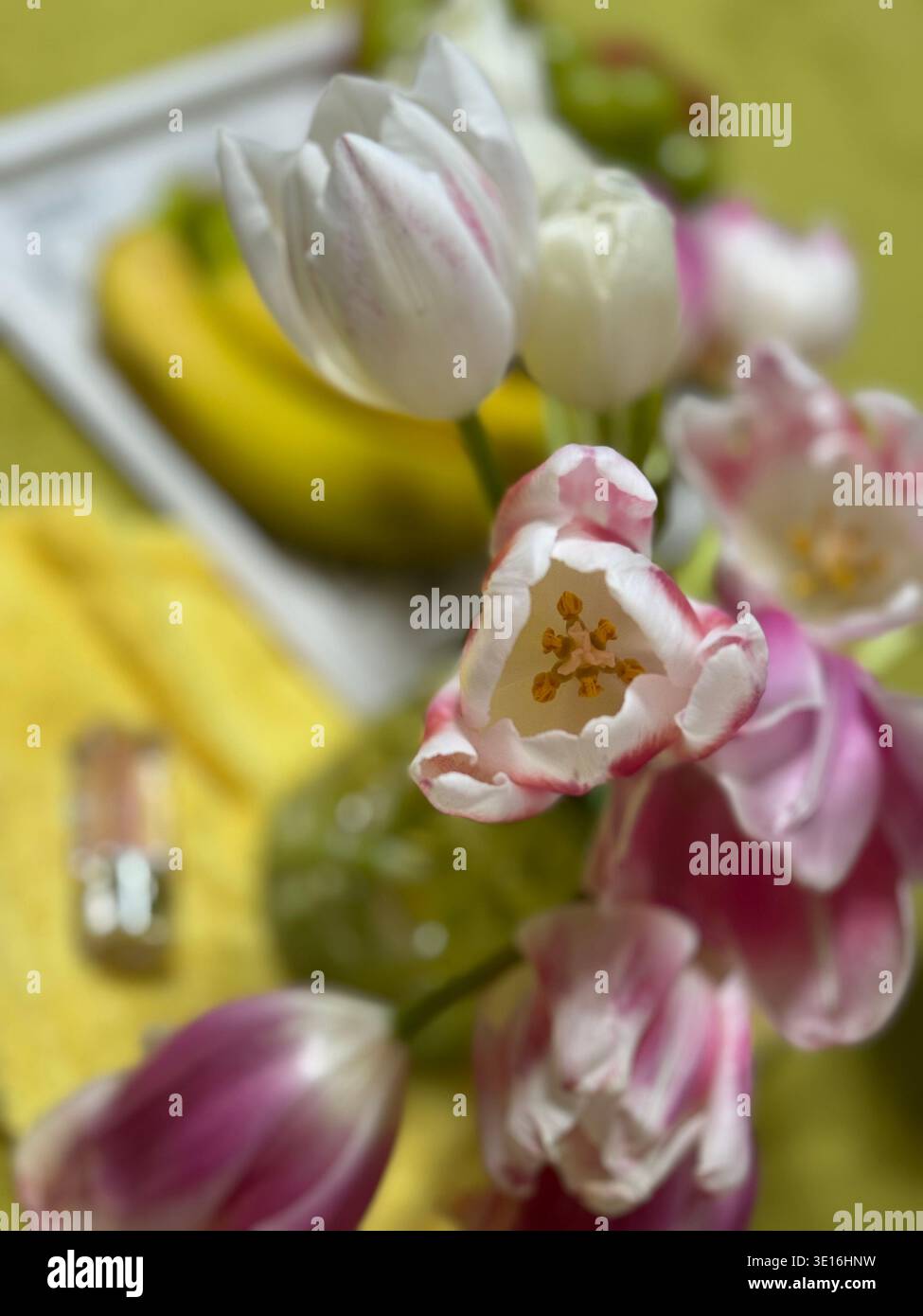 Natura morta con frutta fresca, mazzo di banana, uva verde, mela rossa e fiori di tulipani rosa - Immagine stock catturata con smartphone