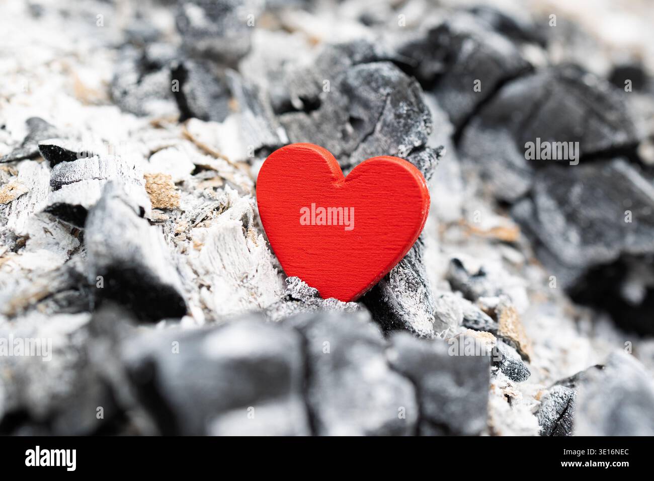 Cuore rosso adagiato su fredde ceneri grigie e carbone. Concetto di amore perduto o sentimenti che svaniscono. . Simbolo di speranza, rinascita e amore. Foto Stock