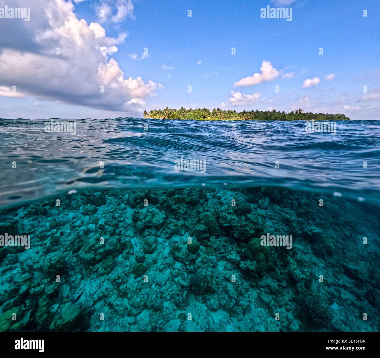 Vista dell'oceano a livello diviso che mostra la barriera corallina sott'acqua e una piccola isola tropicale con palme all'orizzonte. Foto Stock