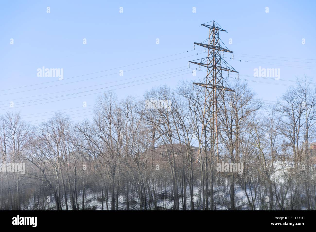 Torre di trasmissione elettrica con linee elettriche che si innalzano sopra alberi senza fronzoli in un paesaggio invernale. Foto Stock