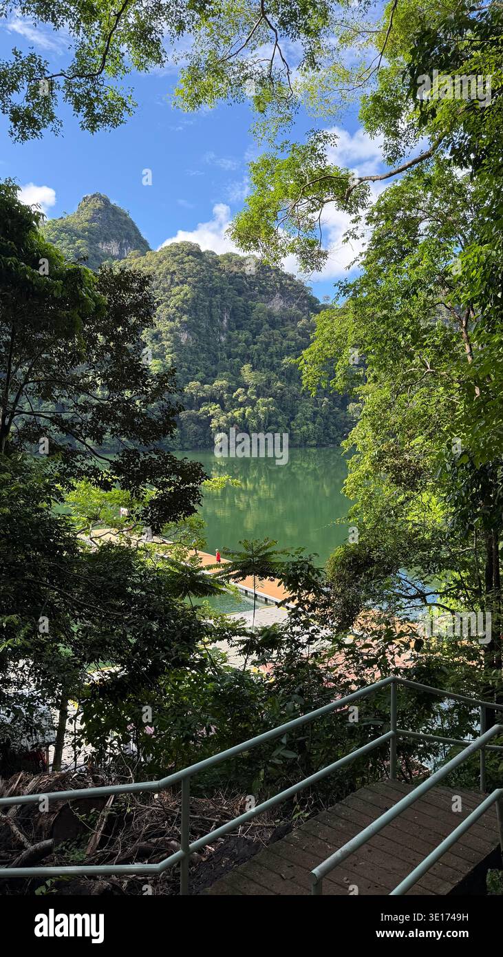 Splendido lago circondato da lussureggianti montagne verdi in un paesaggio tropicale. - Immagine stock catturata con smartphone