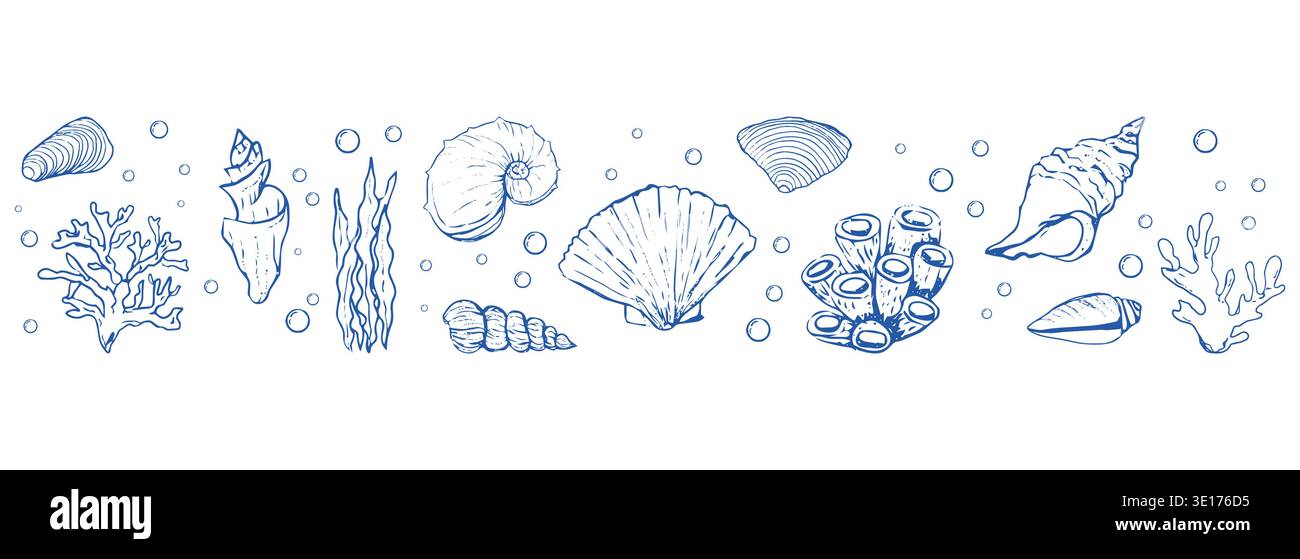 Il set di conchiglie blu e stelle marine disegna a mano un motivo orizzontale lungo il bordo senza cuciture. Elementi di design per le vacanze estive per stampe alla moda, . Illustrazione vettoriale Illustrazione Vettoriale