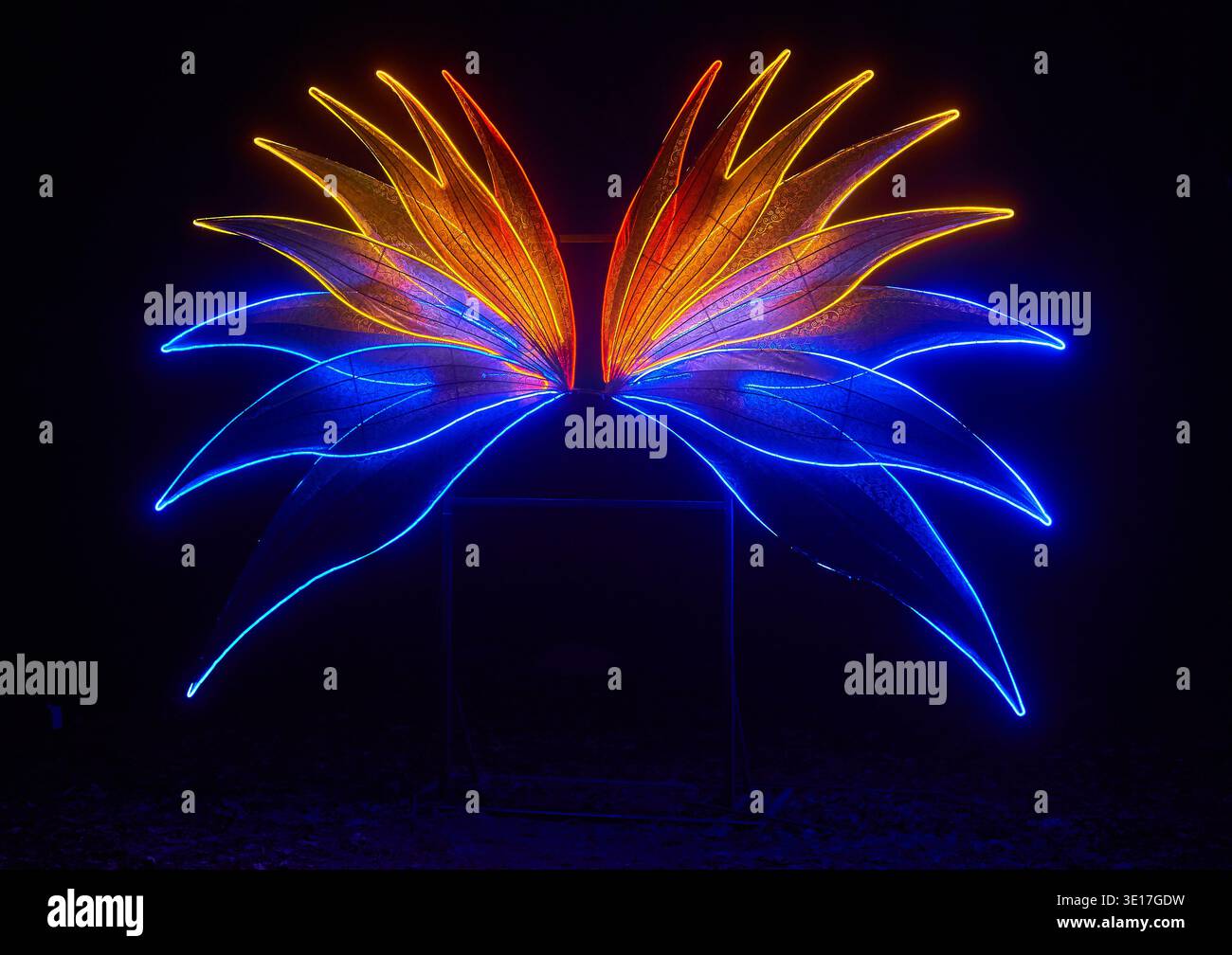 Un'installazione luminosa al neon che ricorda le ali di farfalla o i petali di fiori astratti si illumina su uno sfondo nero. La simmetrica... Foto Stock