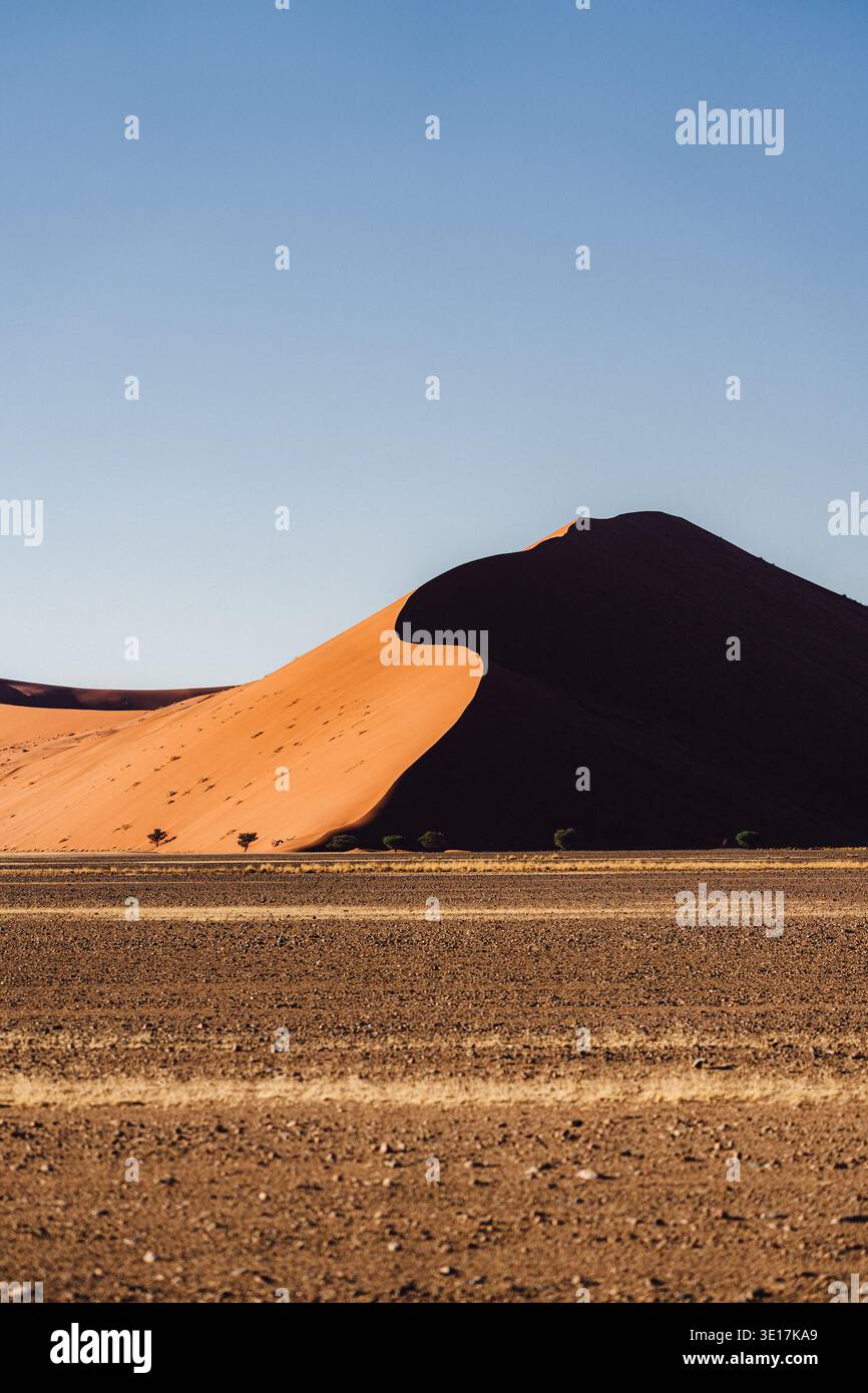 La duna 45 nel deserto Namibia del Namib è immersa nella calda luce dell'alba, evidenziando le sue curve sorprendenti e i colori vivaci contro l'ampio complesso Foto Stock