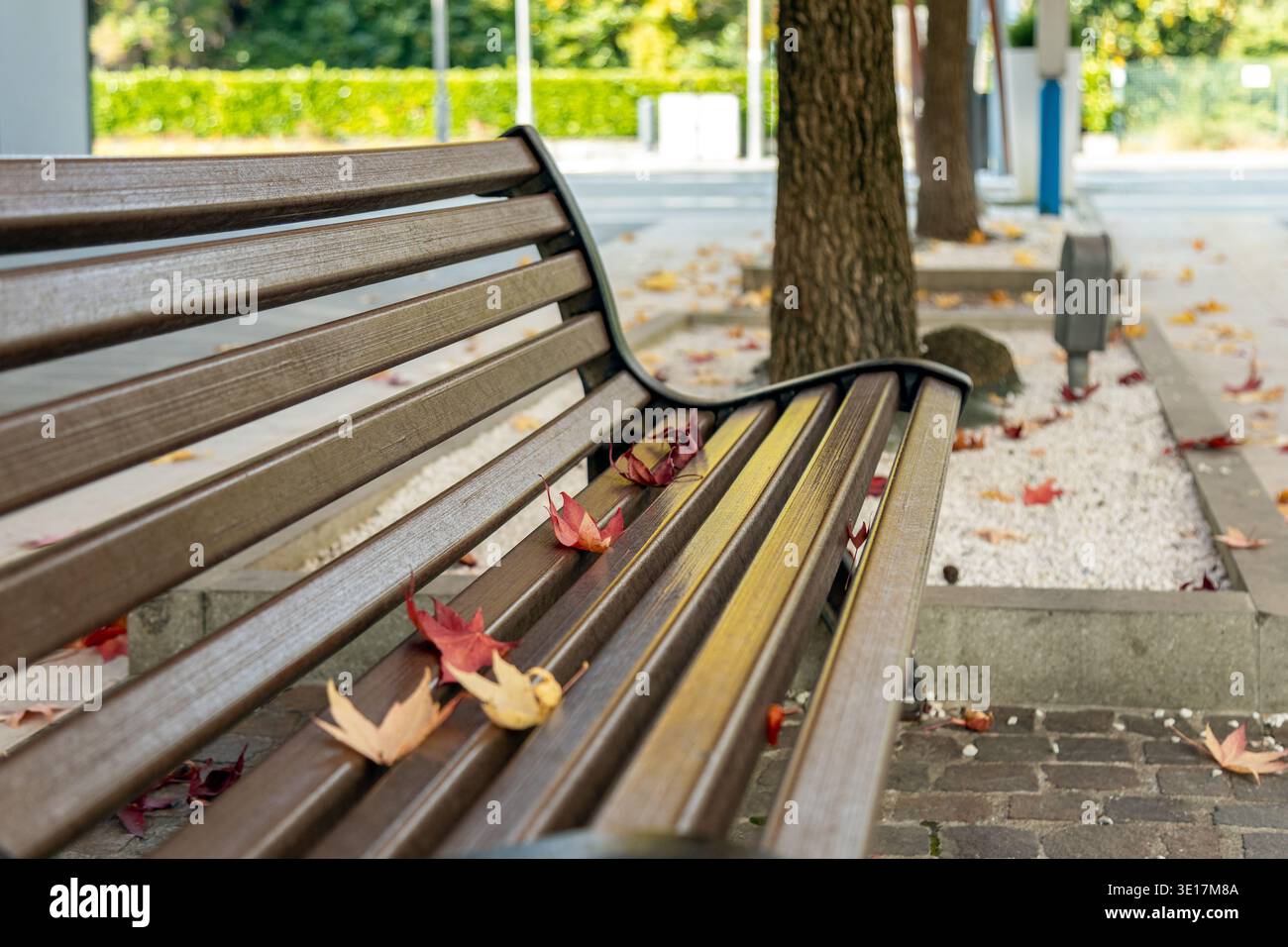 L'autunno parte su una panchina di legno nel centro di Abano Terme, Italia Foto Stock