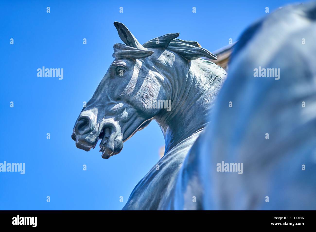 Vista ravvicinata ad angolo basso di una maestosa statua di cavallo in bronzo che si affaccia su un cielo azzurro. La patina intemprata della scultura in metallo mostra... Foto Stock