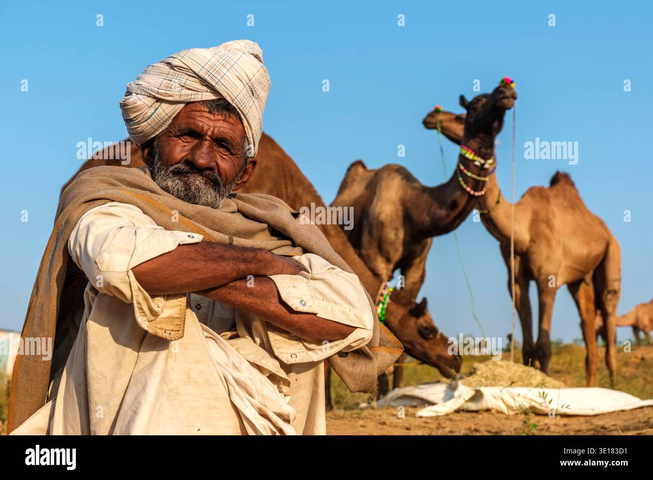 Ritratto di un uomo seduto in un turbante con cammelli che pascolano in lontananza alla Fiera dei cammelli di Pushkar a Pushkar durante le ore mattutine. Foto Stock