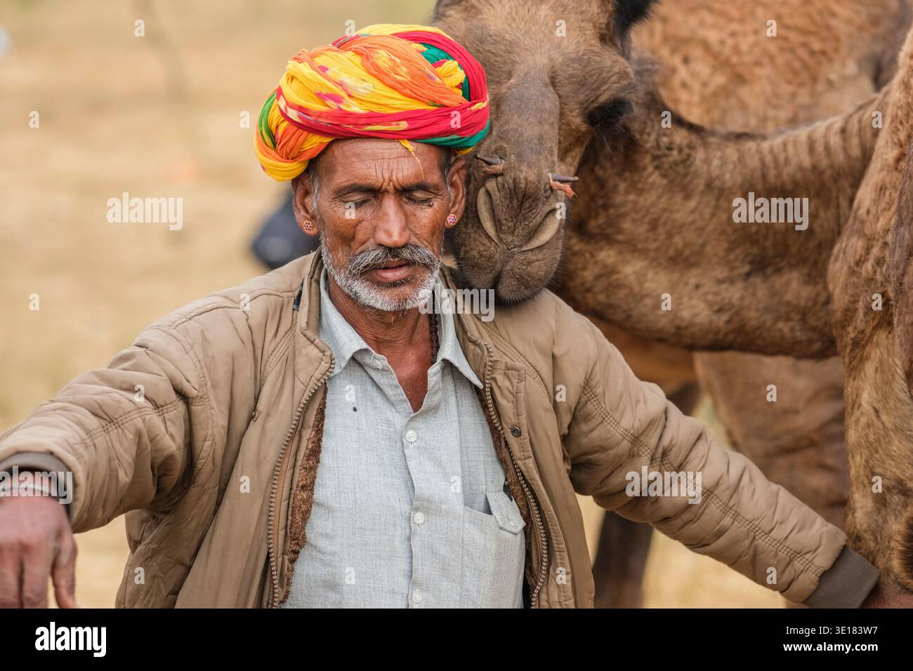 Un uomo in un turban giallo e rosso vibrante si trova vicino a un cammello alla Fiera dei cammelli di Pushkar, l'animale che riposa la testa vicino a lui. Foto Stock