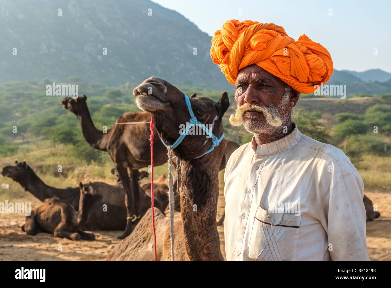Un uomo che indossa un turbante arancione si erge con i suoi cammelli alla Fiera dei cammelli di Pushkar, con una grande collina nebbiosa visibile in lontananza. Foto Stock