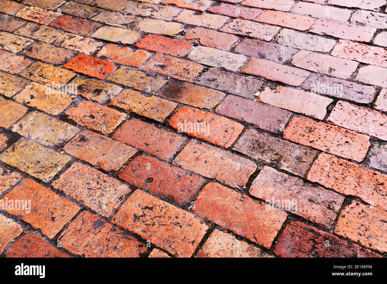 Superficie dell'asfaltatrice in argilla umida utilizzata per pavimentazioni stradali, che mostra consistenza, motivo e umidità dopo la pioggia in ambienti esterni urbani. Messa a fuoco selettiva Foto Stock