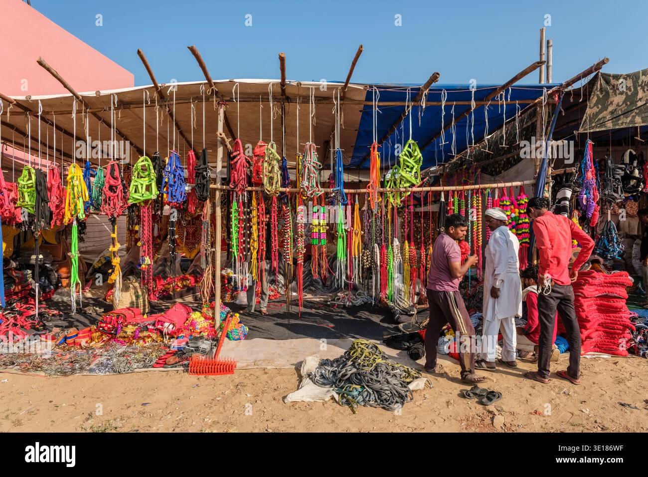 Una vivace banchina di mercato a Pushkar Mela mostra colorate chiusure di bestiame e corde, mentre gli uomini si riuniscono per commerciare alla luce del sole del mattino. Foto Stock