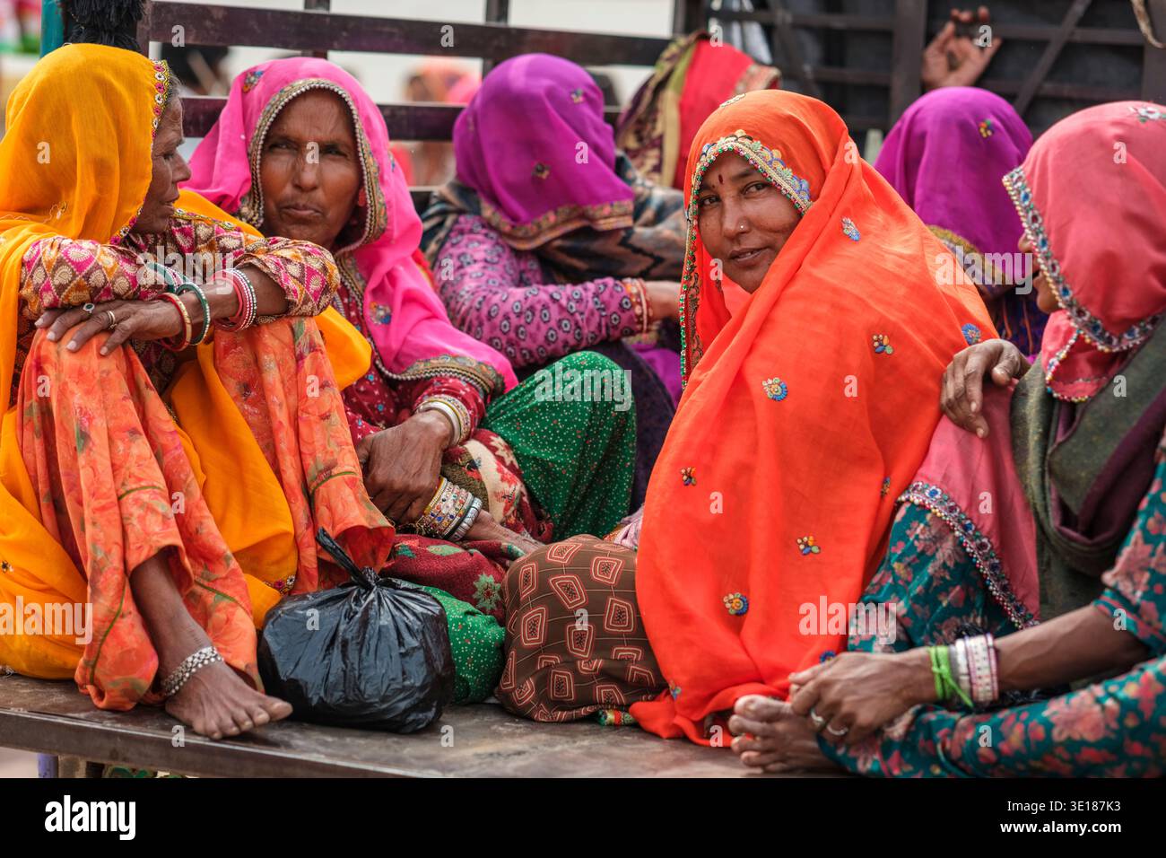 Diverse donne con i tradizionali veli arancioni e rosa siedono insieme su un veicolo a pianale a Pushkar Mela, impegnate in una conversazione durante il viaggio. Foto Stock