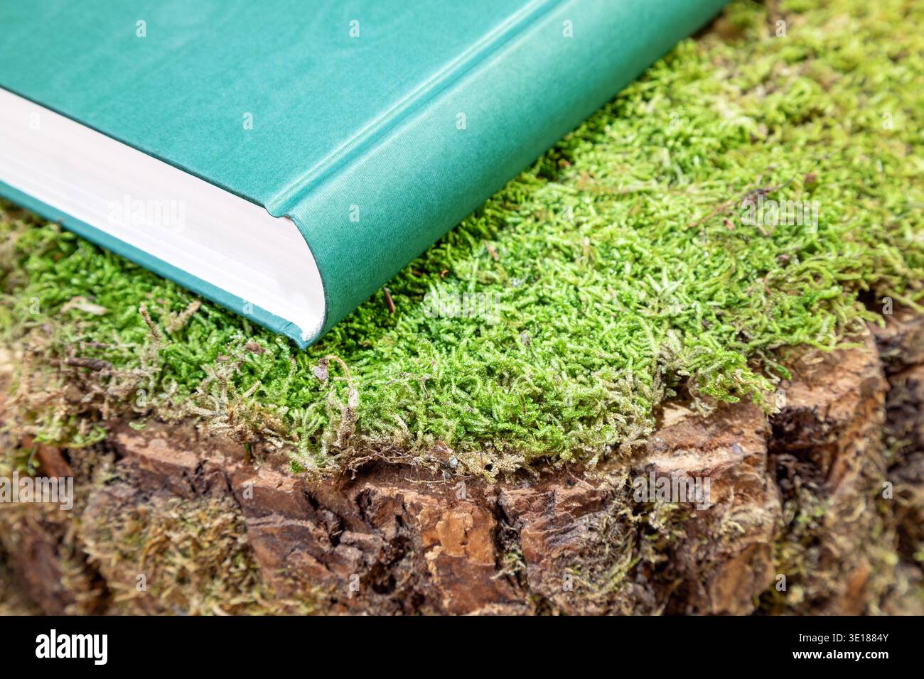 libro in copertina rigida con copertina verde su un ceppo di alberi muschiati Foto Stock