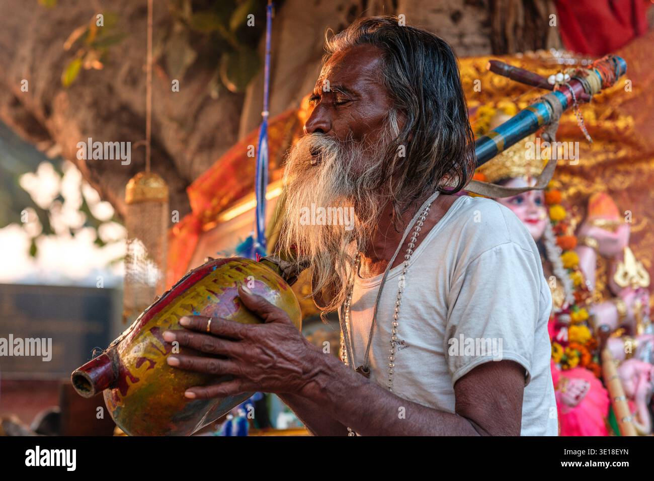 Un Sadhu, santo uomo, suona uno strumento dipinto a mano mentre si siede al Sunset Ghat presso il lago Pushkar con un albero decorato in lontananza. Foto Stock